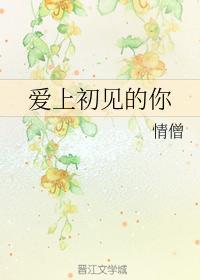 爱上初见的你封面