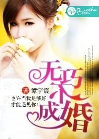 无巧不成婚封面