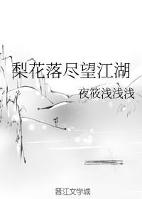 梨花落尽望江湖封面