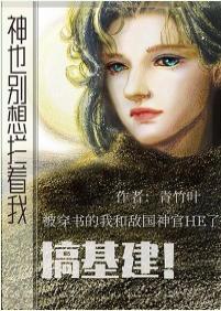 神也别想拦着我搞基建！封面
