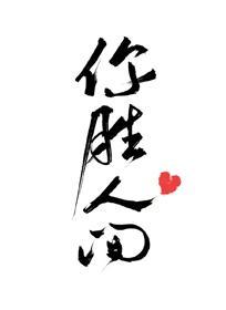 你胜人间封面