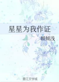 星星为我作证封面