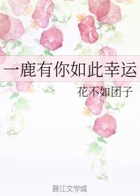 晨鹿夫妇的日常封面