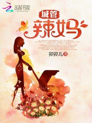 城管辣妈封面
