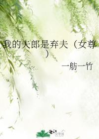 我的夫郎是弃夫（女尊）封面