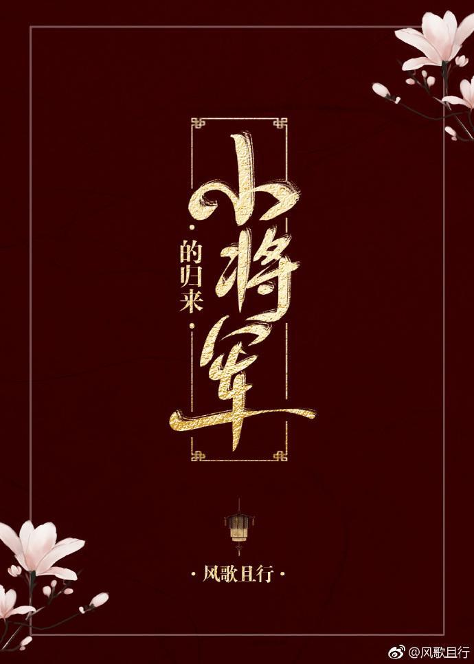 小将军回来了封面