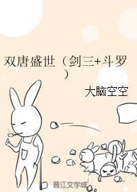 双唐盛世（剑三 斗罗）封面