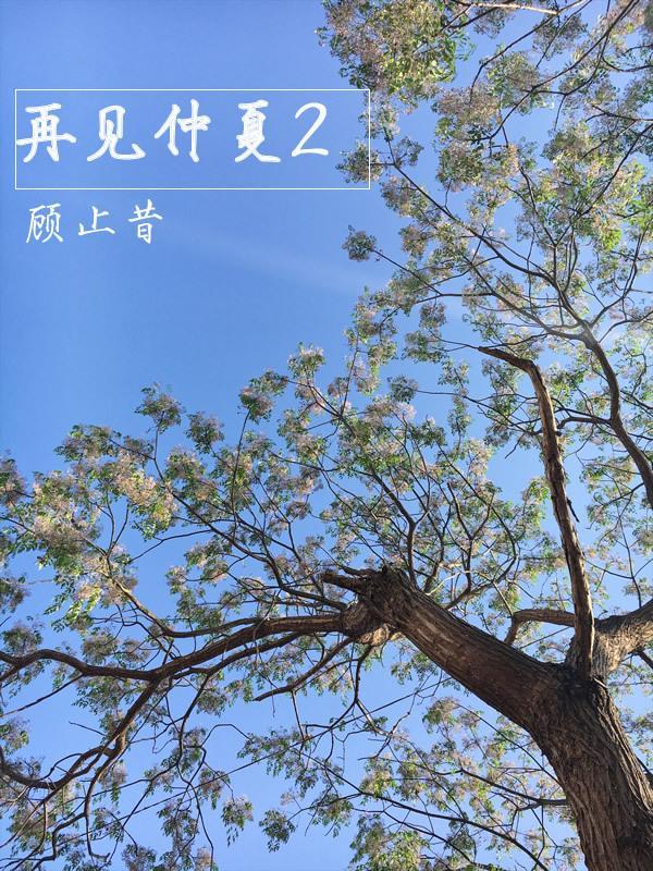 再见仲夏2封面
