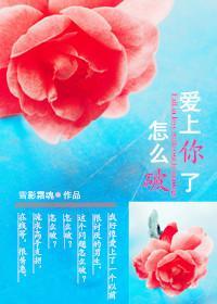 爱上你了怎么破封面