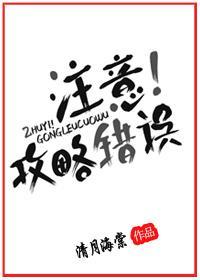 註意！攻略错误封面
