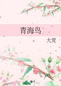 青海鸟封面