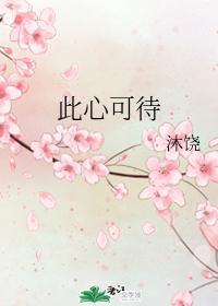 此心可待封面