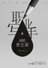职业写手封面