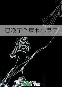 召唤了个病弱小皇子封面