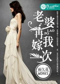 老婆，再嫁我一次封面