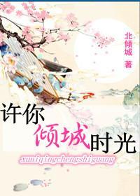 许你倾城时光封面