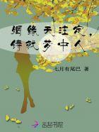 姻缘天註定，铸就梦中人封面