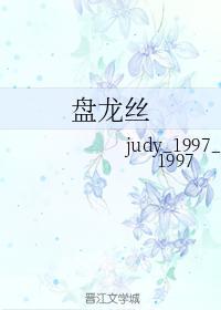 盘龙丝封面