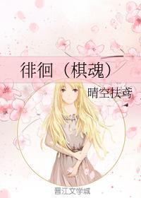 徘徊（棋魂）封面