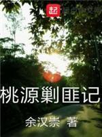桃源剿匪记封面