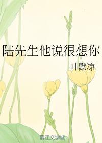陆先生他说很想你封面