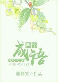 被玩坏了的四字成语封面
