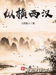 纵横西汉封面