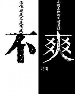 不爽封面