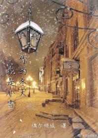 你的冬天我是小雪封面