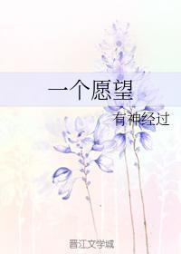 一个愿望封面