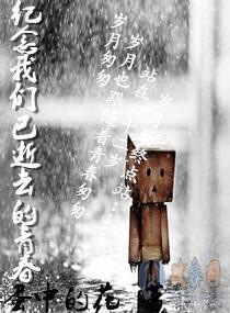纪念我们已逝去的青春封面
