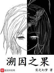溯因之果封面