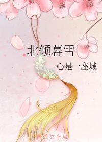 北倾暮雪封面