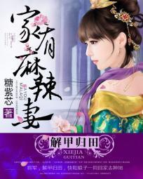 甲归田：家有麻辣妻封面