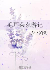 毛耳朵东游记封面