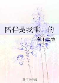 陪伴是我唯一的封面