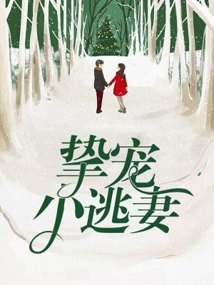 挚宠小逃妻封面