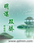 明谍双骄封面