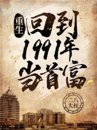 重生九零富敌国封面