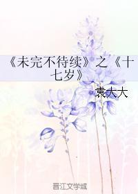 未完不待续之十七岁封面