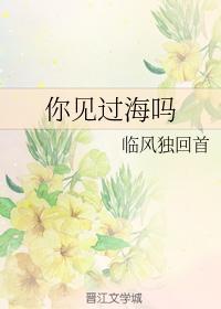 你见过海吗封面