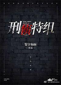 刑侦特组封面