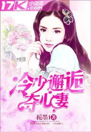 冷少邂逅夺心妻封面