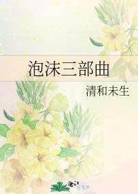 泡沫三部曲封面