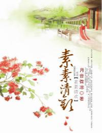 素素清欢封面