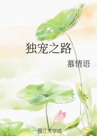 独宠之路封面