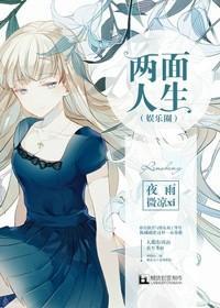 两面人生（娱乐圈）封面