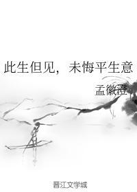 此生但见，未悔平生意封面