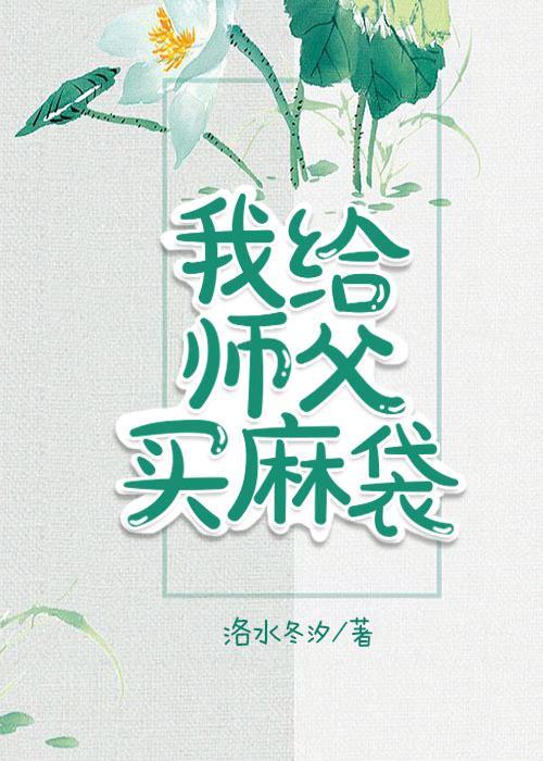 我给师父买麻袋封面