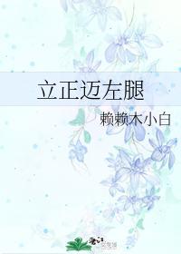 立正迈左腿封面